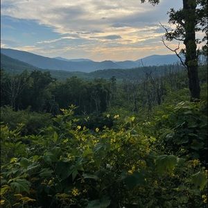 Meet your Posher, Lindsey